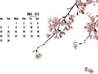 枝头上的美丽樱花2017年2月日历壁纸