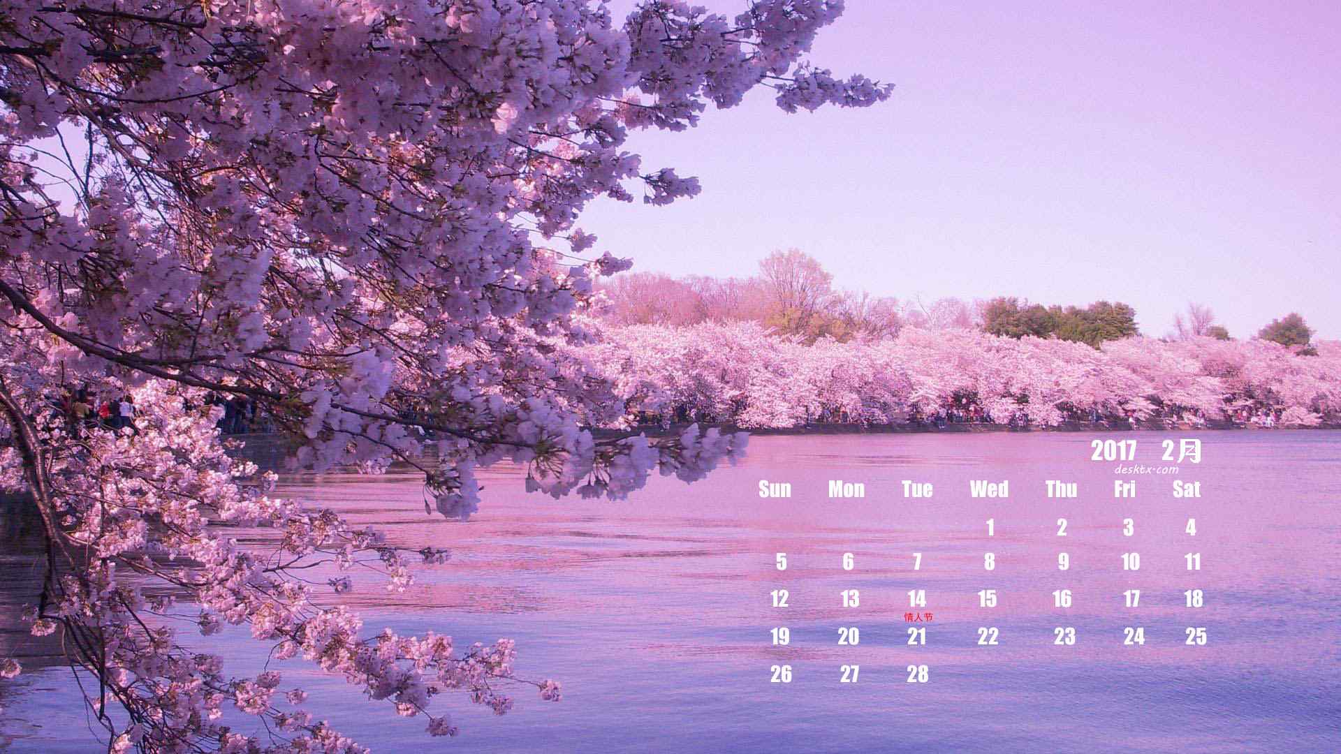 2017年2月日历之梦幻紫色樱花壁纸