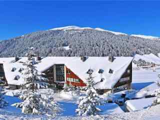 白雪皑皑的阿尔卑斯山脉冬日美景图片