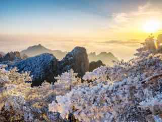 冬季黄山美丽的日出风景图片