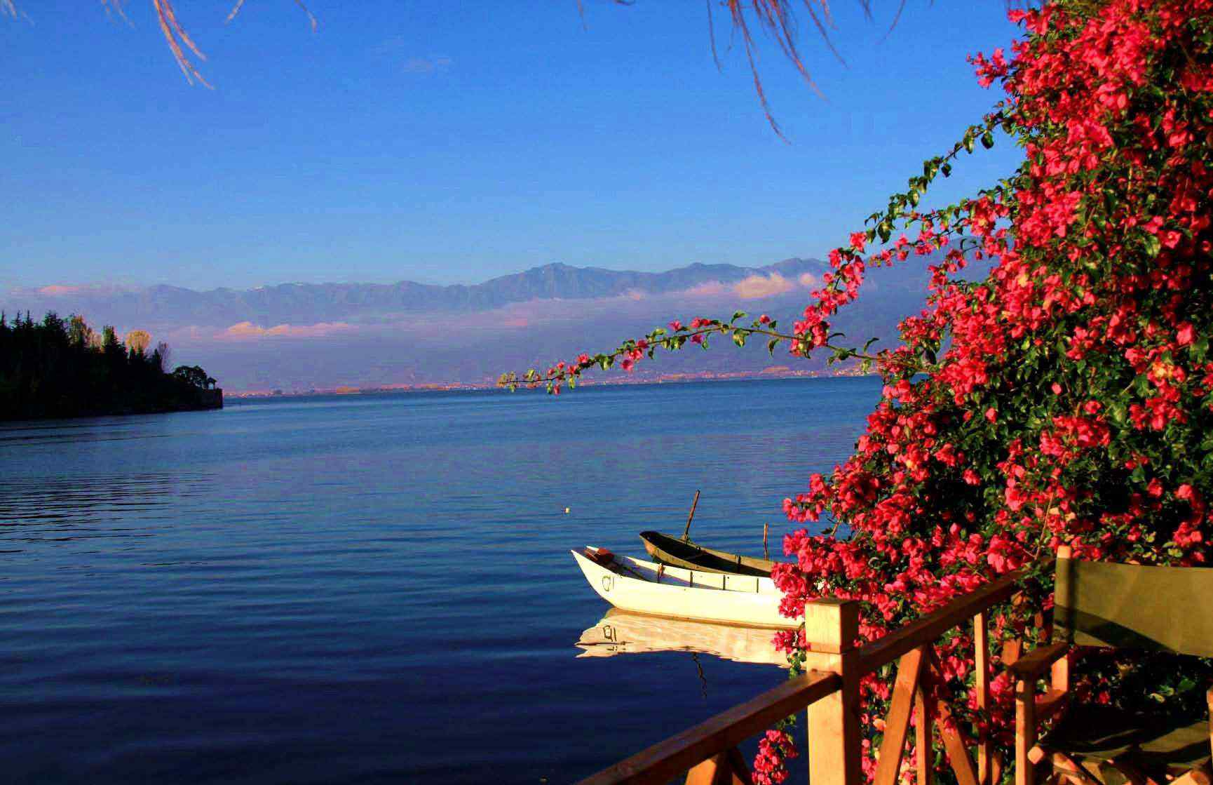 春花烂漫的洱海唯美风景图片