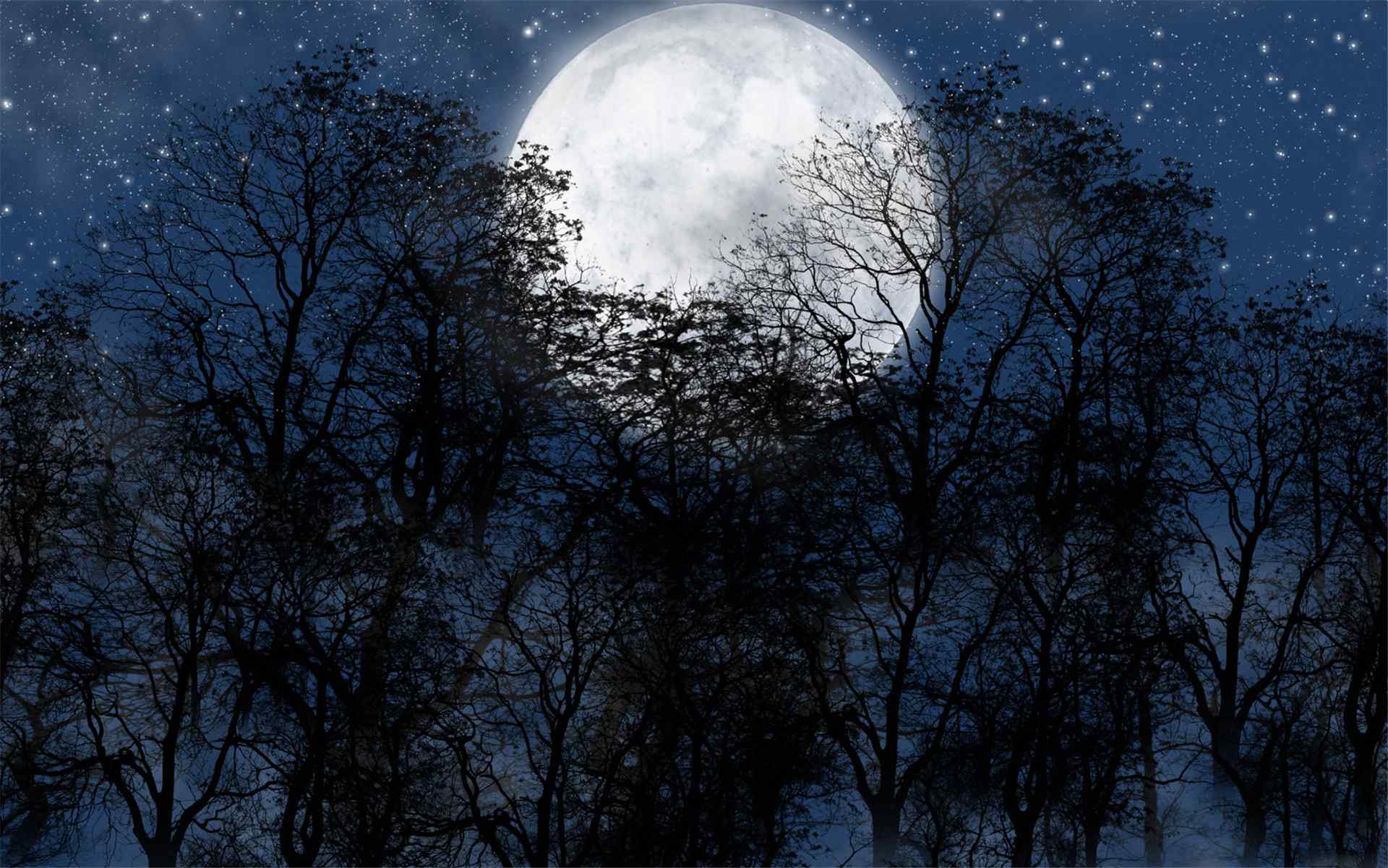 树林里唯美的月亮图片