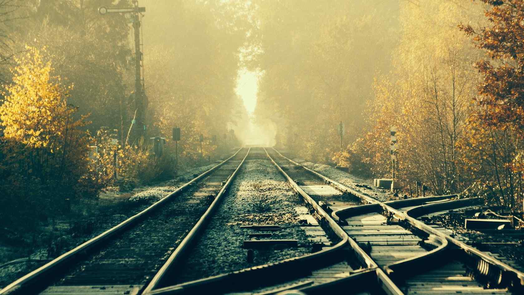 林间的火车轨道唯美风景图片
