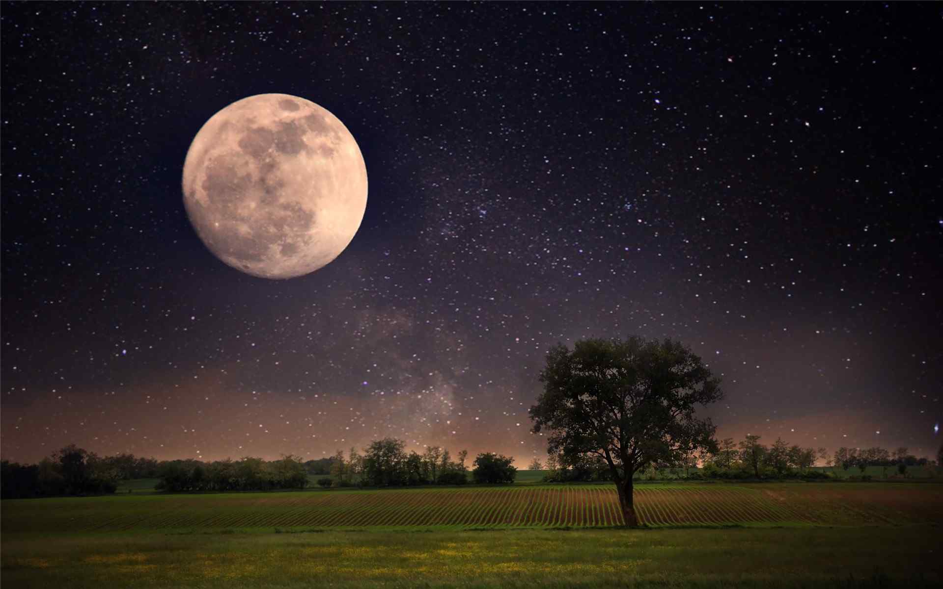 田间的超级月亮图片