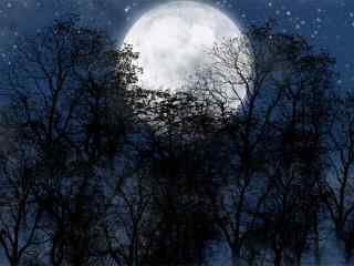树林里唯美的月亮图片