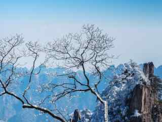 冬日黄山唯美雪景