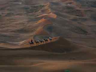 沙漠风景之骆驼队