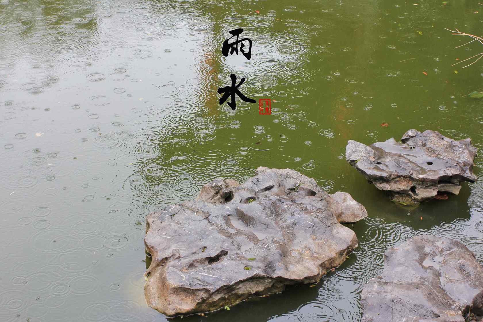 雨水节气-池塘里的雨滴图片桌面壁纸