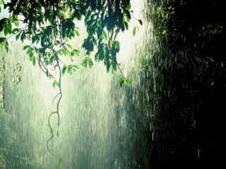 雨水节气-唯美雨中美景图片桌面壁纸