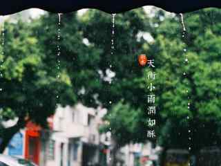 雨水节气-唯美春雨图片桌面壁纸
