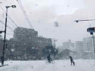 日本雪中街道模样