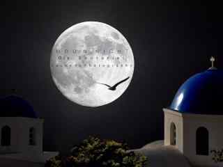 唯美夜空下的月色图片壁纸