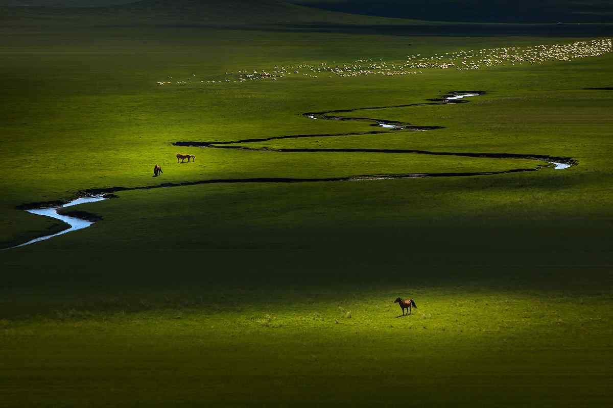 唯美绿色草原牧羊风景图片