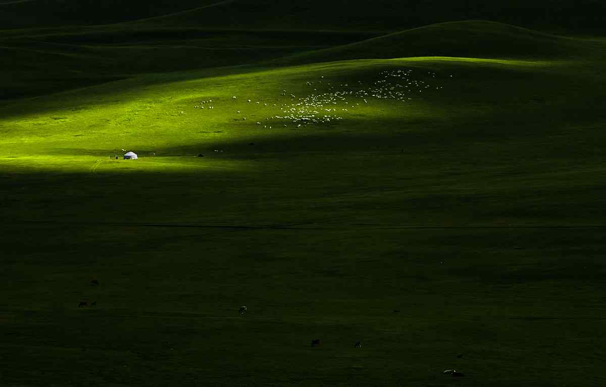 绿色草原牧羊风景图片