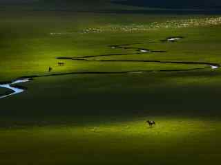 唯美绿色草原牧羊