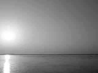 洞庭湖风景黑白摄影图片壁纸