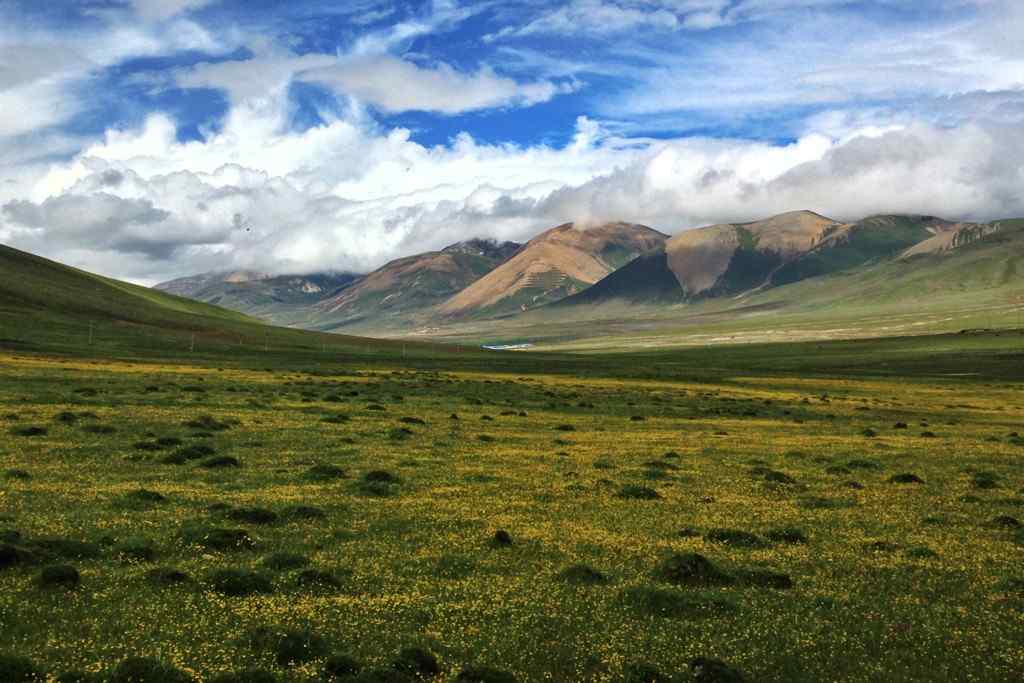 唯美草原西藏亚东山峰桌面壁纸
