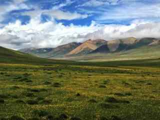 唯美草原西藏亚东