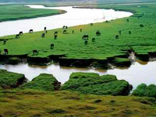 鄱阳湖湿地公园风景壁纸