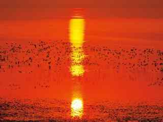 落日下的唯美鄱阳湖湿地桌面壁纸