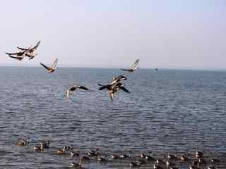 鄱阳湖湖面风景图片