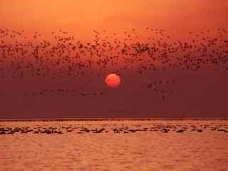 落日下的鄱阳湖唯美风景壁纸