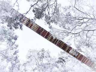 白雪皑皑的重庆歌乐山天桥桌面壁纸