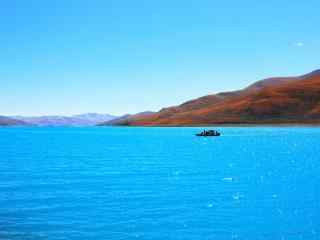 蔚蓝的西藏圣湖羊