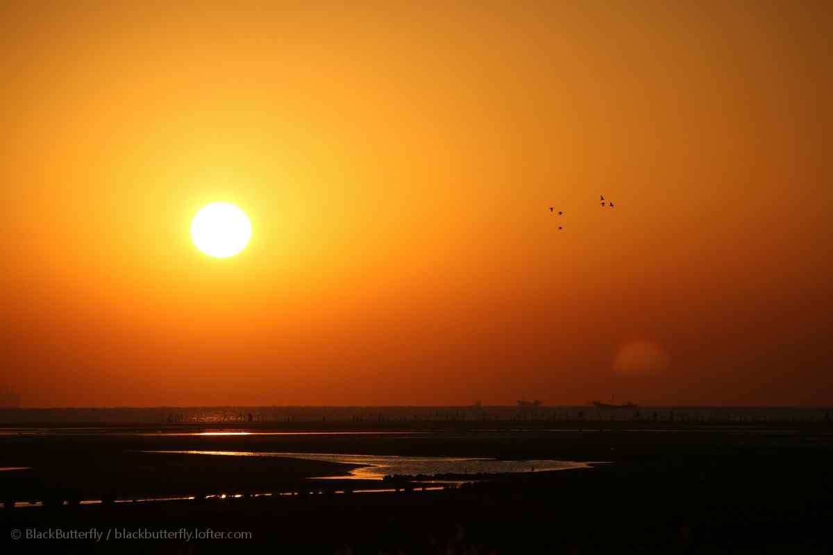 夕阳下的北戴河摄影图片
