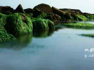 北戴河面上的绿油油石礁桌面壁纸