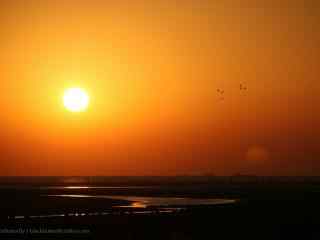 夕阳下的北戴河摄影图片