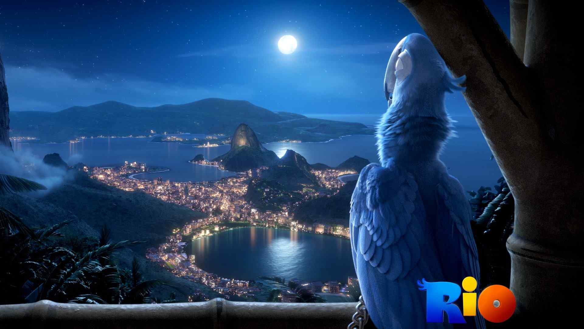 蓝色鹦鹉夜景电脑桌面