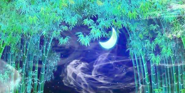 唯美的竹林夜景高清壁纸