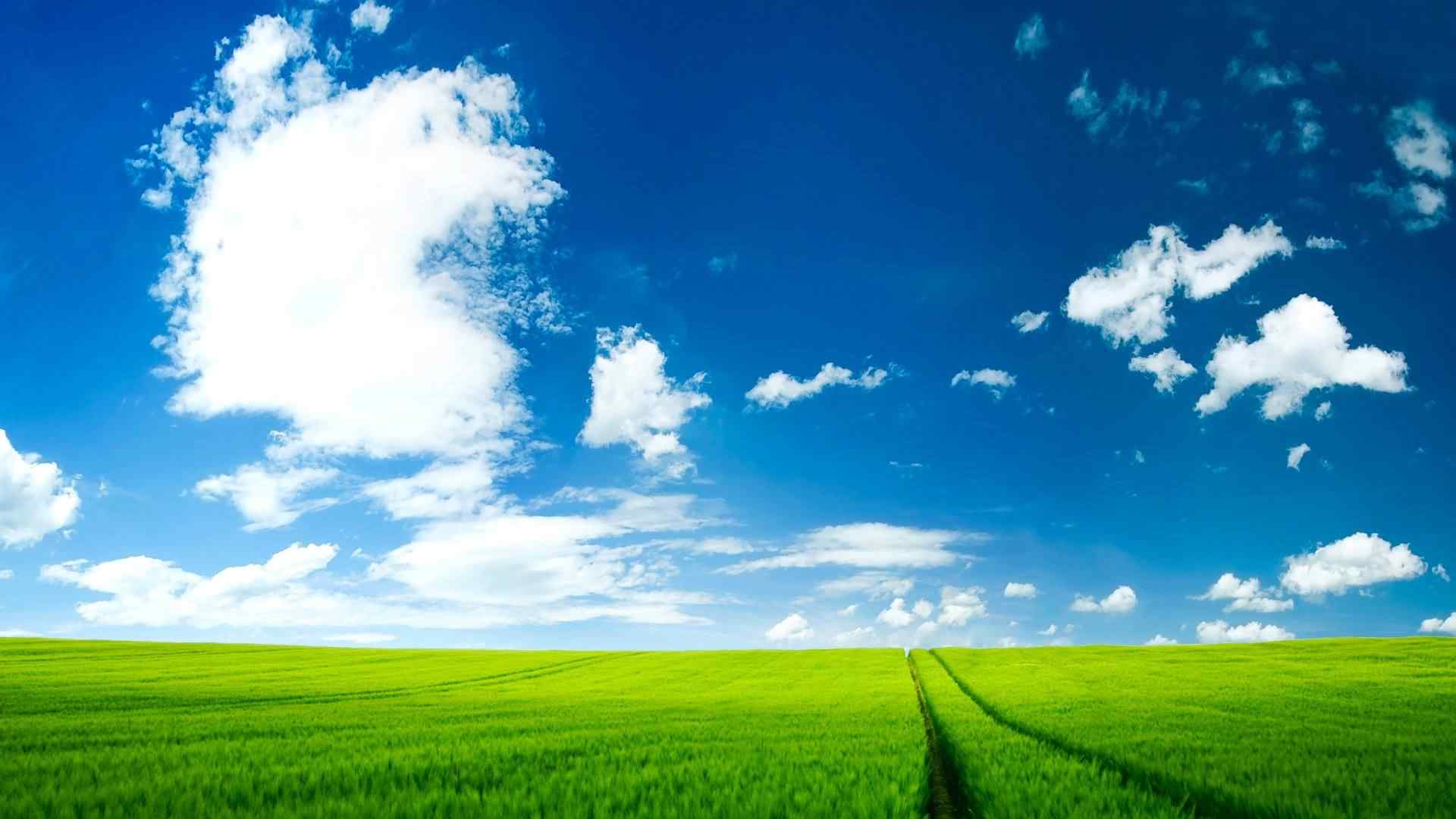 绿色草原与晴朗天空护眼桌面壁纸