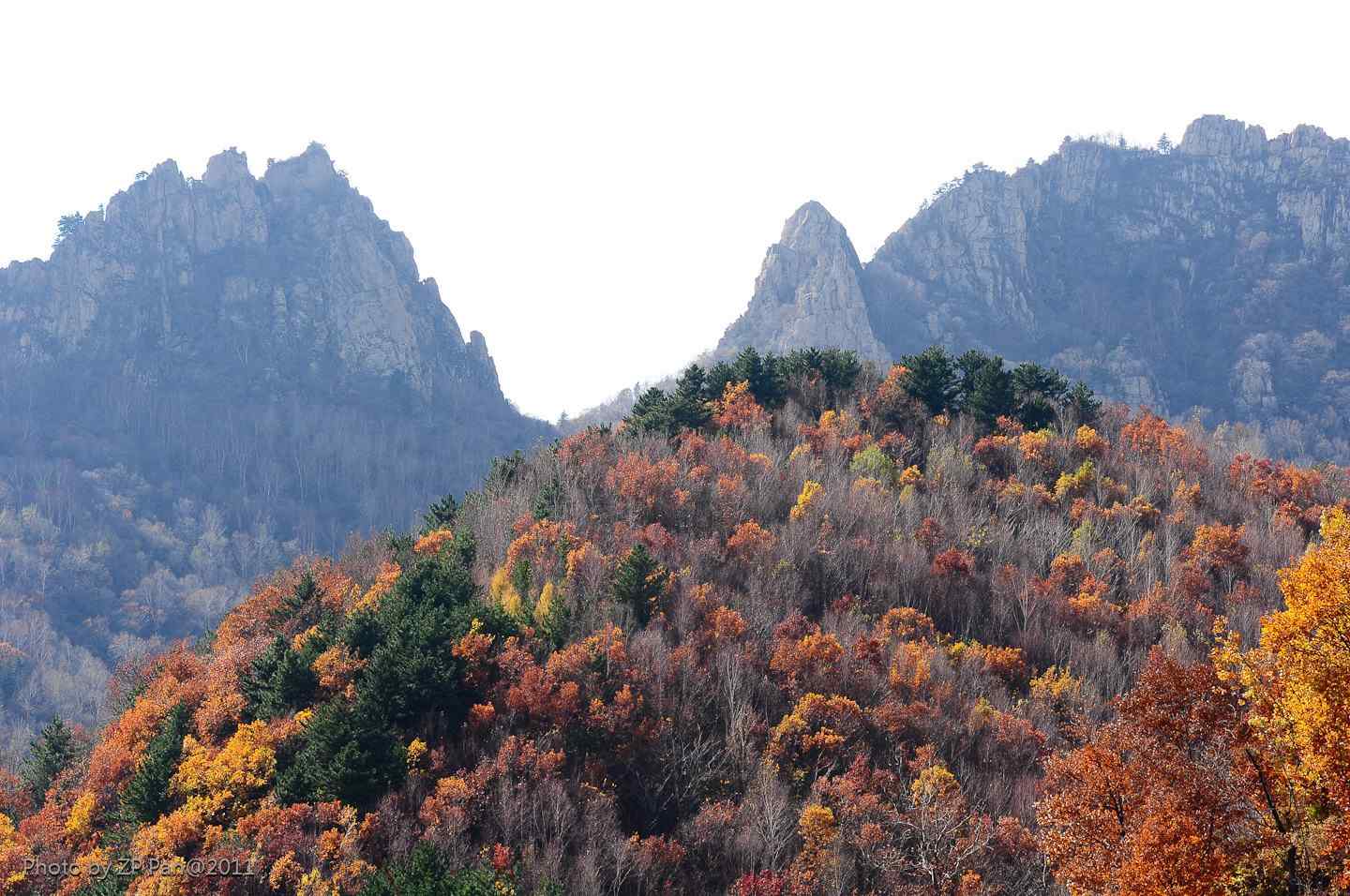 壮观的秋日雾灵山景色图片