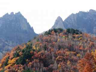 壮观的秋日雾灵山景色图片