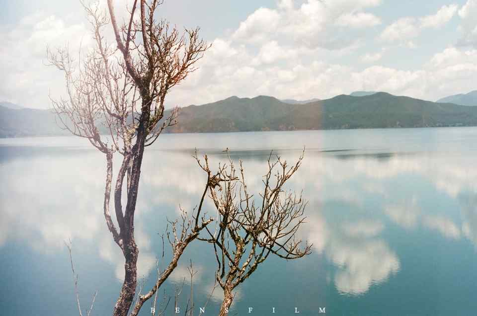 泸沽湖唯美树木风景壁纸