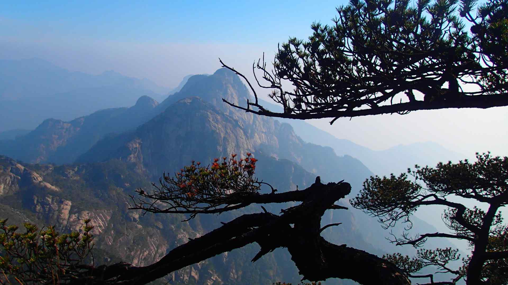中国最美山峰之唯美黄山风景壁纸