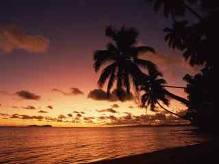 唯美的海边椰林黄昏风景壁纸