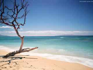 小清新夏威夷海边风景图片