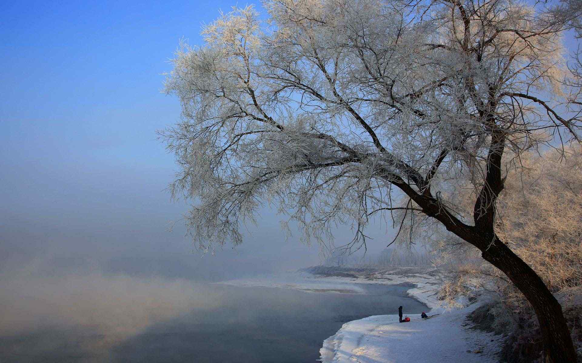 吉林雾凇风景美丽桌面壁纸