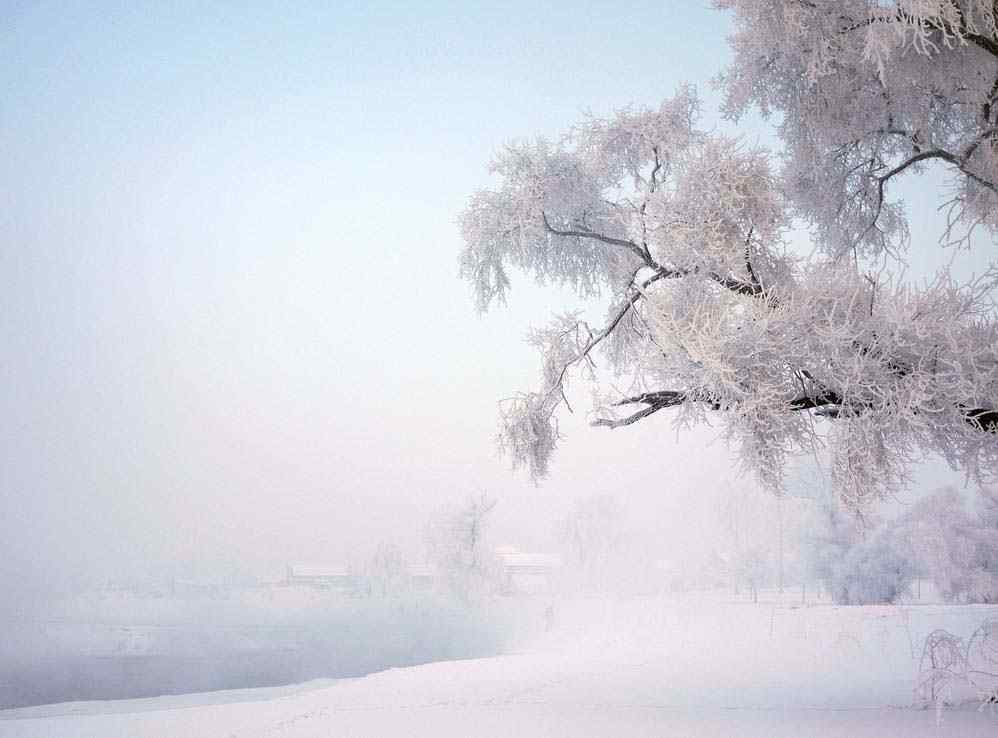 茫茫的吉林雾凇风景图片壁纸