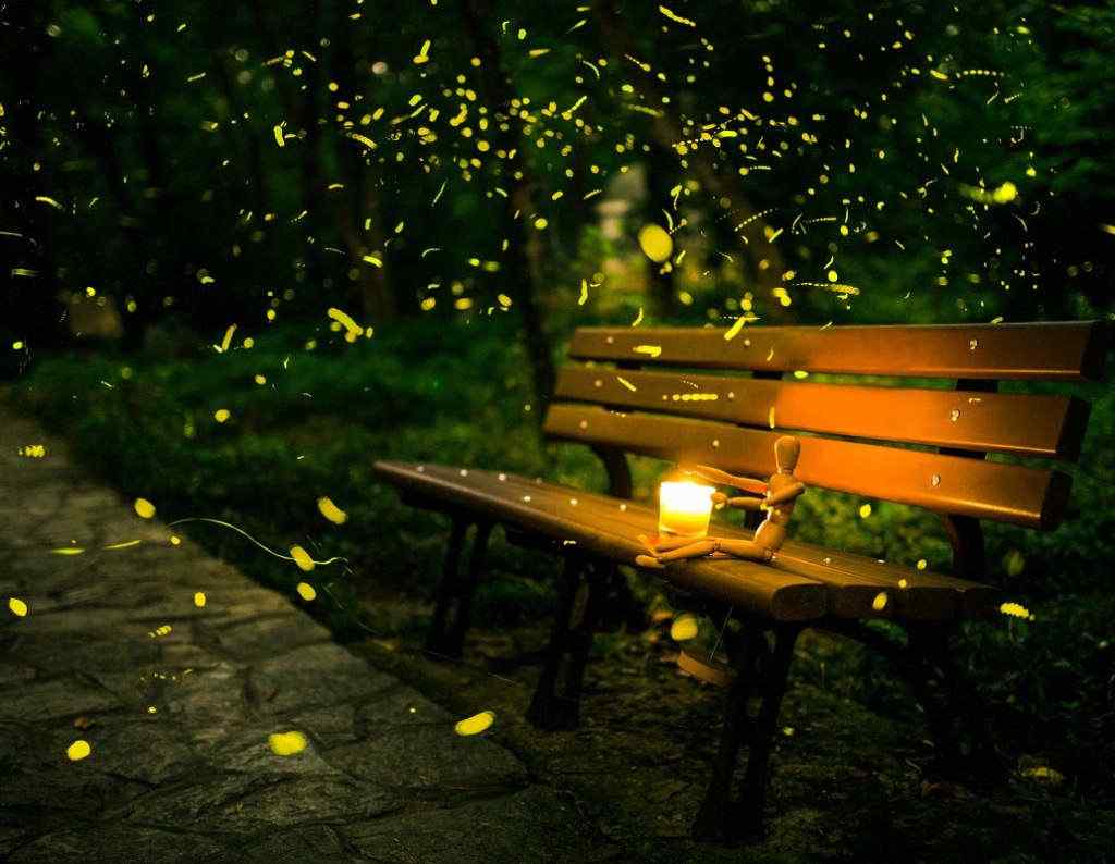 仲夏夜最浪漫的，莫过于在木兰天池来一场萤火虫之旅