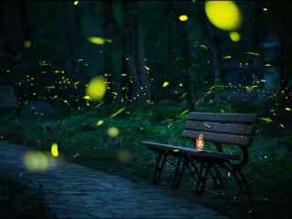 萤火虫夜间飞舞风景壁纸