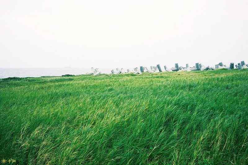绿色台湾垦丁风景壁纸