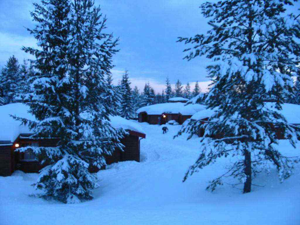 静谧的雪地小木屋风景桌面壁纸