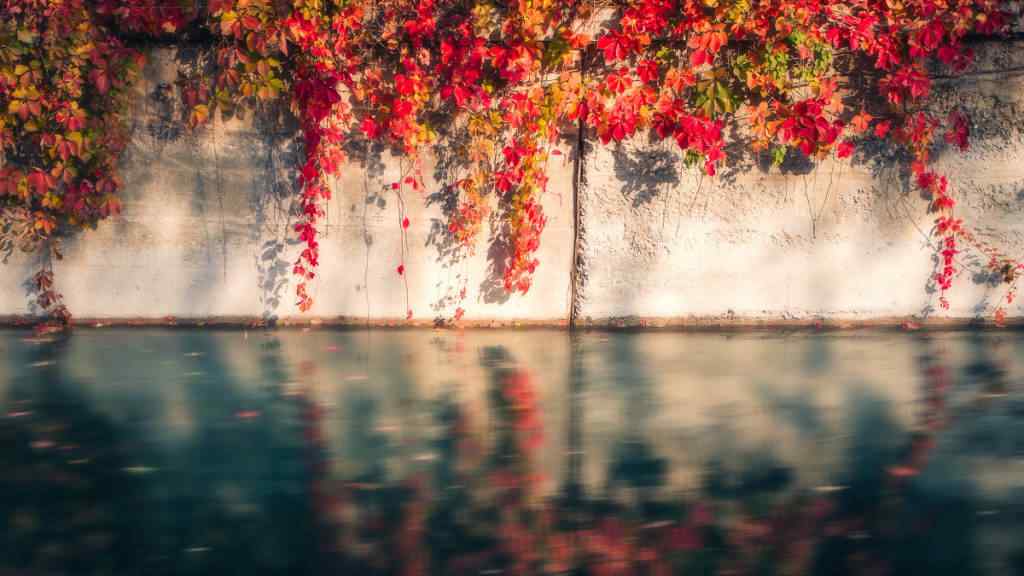 立秋之美丽风景壁纸