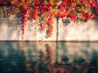 立秋之美丽风景壁纸