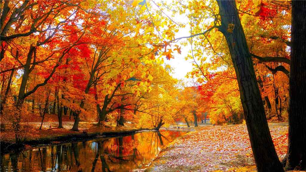 火红的秋日风景壁纸