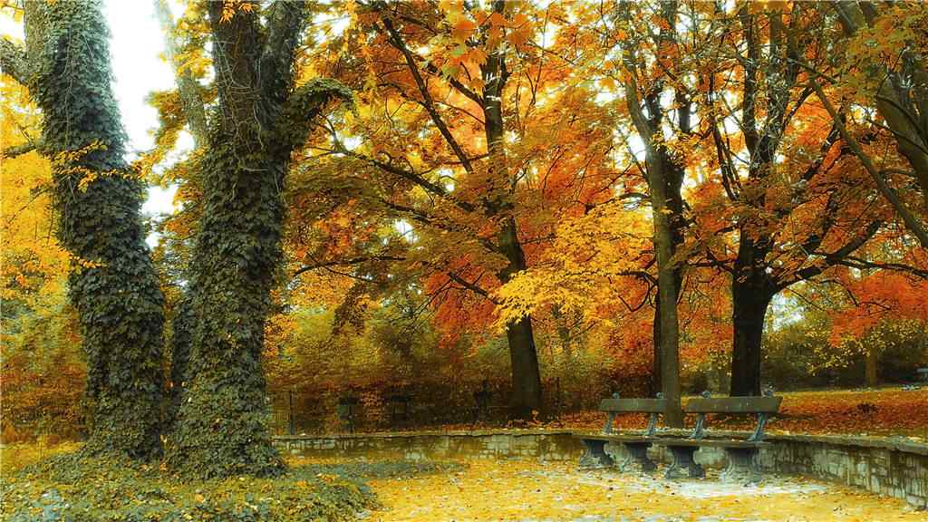 美丽的秋日风景桌面壁纸